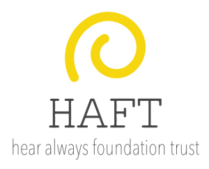 HAFT-300x243